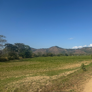 Víctor Hugo Benítez flores
