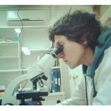 Felipe Anibal Ibáñez Santander