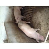 Ángel Pantoja Gómez 