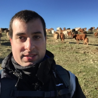 Alejandro  Casanova Higes