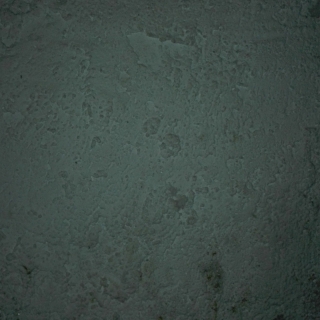 Carlos Rodr&iacute;guez