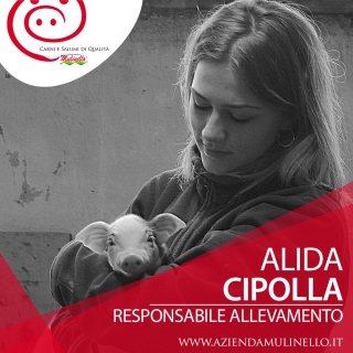 alida cipolla