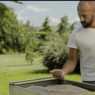 Flavio Varelli varelli