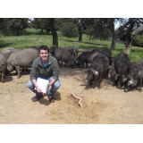 Antonio Jesús Serrano López