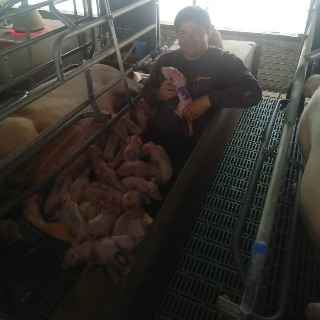 Fernando Iturrieta quintanilla