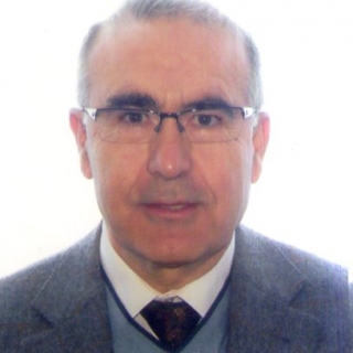 Joan Anglès Sedó