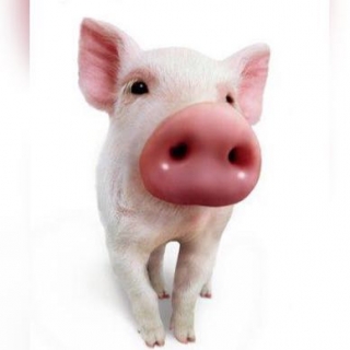 Jorge Luis Rodríguez