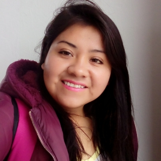 ALEXANDRA HIPOLITO GONZALEZ